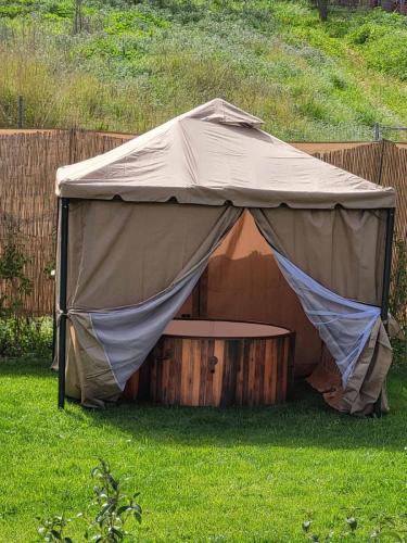 εικόνα Viber 2024-04-05 22-15-49-297